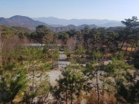 명봉산솔밭관광농원오토캠핑장 고캠핑