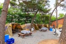 포시즌오토캠핑장 고캠핑
