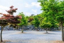 별바라기 캠핑 펜션