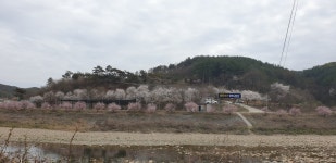 별바라기 캠핑 펜션