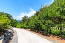 별바라기 캠핑 펜션
