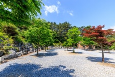 별바라기 캠핑 펜션
