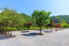 별바라기 캠핑 펜션