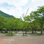 덕유대자동차야영장
