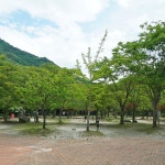 덕유대자동차야영장