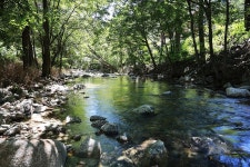 평창자연속쉼표캡핑장 고캠핑