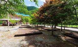 해마루 캠핑장 고캠핑