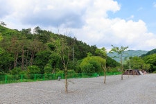 금계관광농원 고캠핑