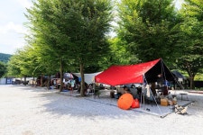 강가민박캠핑장 고캠핑