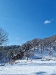 주식회사 더빌리지