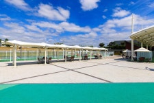 의성펫월드 오토캠핑장 고캠핑