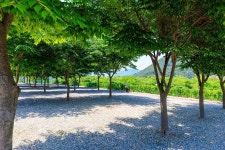 밀양 가보자 캠핑장 고캠핑