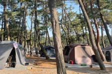 몽산포감성캠핑장 고캠핑