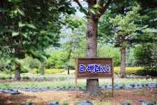 오색허브농원 캠핑장