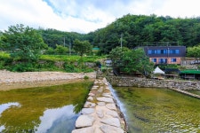 군위 솔밭야영장 고캠핑