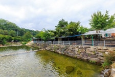 군위 솔밭야영장 고캠핑