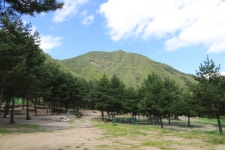 덕풍계곡 솔밭야영장