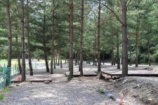 덕풍계곡 솔밭야영장 고캠핑