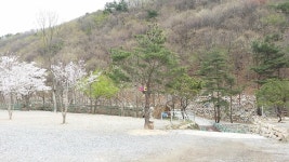 에코밸리 캠프 고캠핑