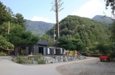 양평숲 비룡캠프장 고캠핑