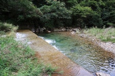 달무리 캠핑장 고캠핑