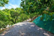 천안밤나무골 가족캠핑농원 고캠핑