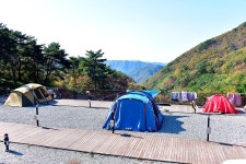 도래재별빛마을캠핑장 고캠핑