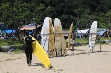 동산포 캠핑장 고캠핑
