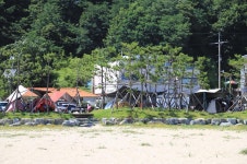동산포 캠핑장 고캠핑