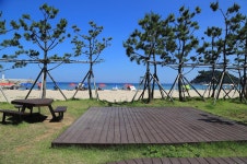 동산포 캠핑장 고캠핑