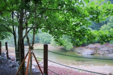 도원 주식회사