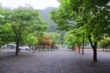 도원 주식회사