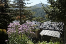 들꽃피는언덕 캠핑장 고캠핑