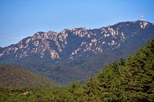 땅끝 황토나라 테마촌