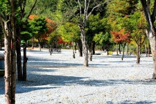 또올래캠핑장 고캠핑