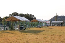 랩도그빌애견캠핑장