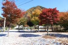 러브팩토리펜션캠핑장