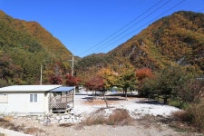 러브팩토리펜션캠핑장 고캠핑