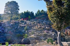 로하스캠핑 고캠핑