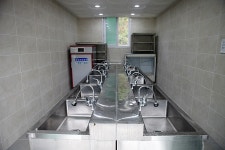 짱아 야영장 고캠핑