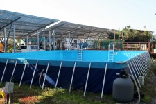 써니힐즈캠핑장