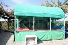 하늘연캠핑장 고캠핑