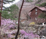 한국관광공사 고캠핑 모바일