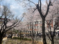 소명갤러리 < 교육활동 | 소명여자고등학교 소명여자고등학교