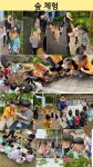 유치원 생활 < 병설유치원 | 소안초등학교 소안초등학교