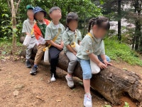 유치원행사 < 병설유치원 | 고강초등학교 고강초등학교