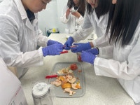 창의융합프로젝트 < 배움과 성장 | 부천공업고등학교 부천공업고등학교