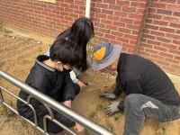 학교행사앨범 < 알림마당 | 부광초등학교 부광초등학교