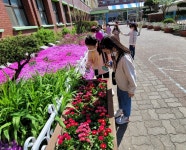 학교홍보 < 알림마당 | 중흥초등학교 중흥초등학교