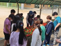 포토앨범 < 알림마당 | 부천삼정초등학교 부천삼정초등학교
